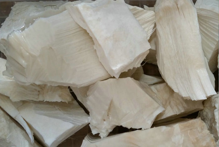 一年生野生灵芝24小时服务