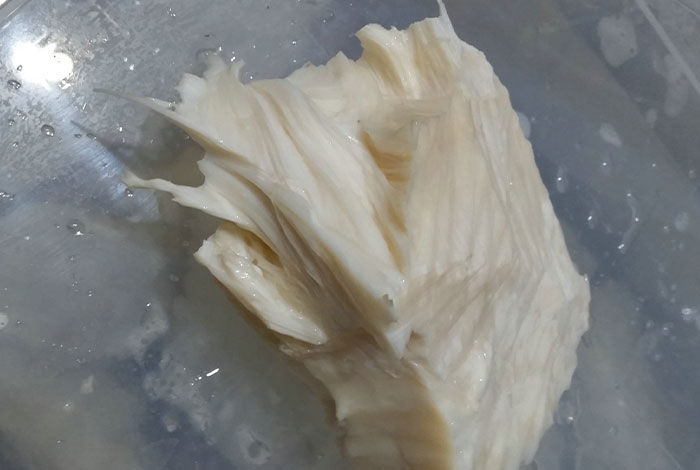 野生太岁肉灵芝水，可以循环饮用一辈子的终身补品。