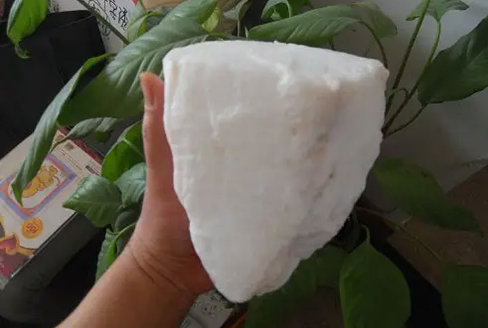 太岁肉灵芝有什么用