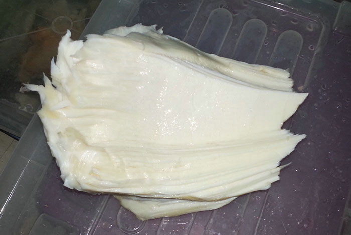 石灵芝和肉灵芝的区别