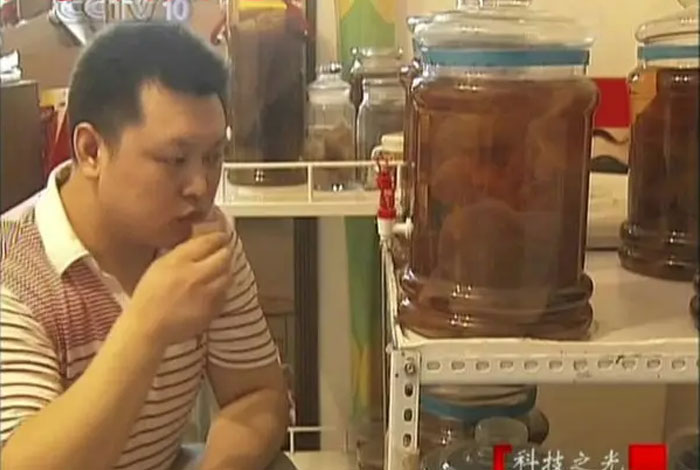 太岁肉灵芝的功效和作,太岁肉灵芝的功效和作用