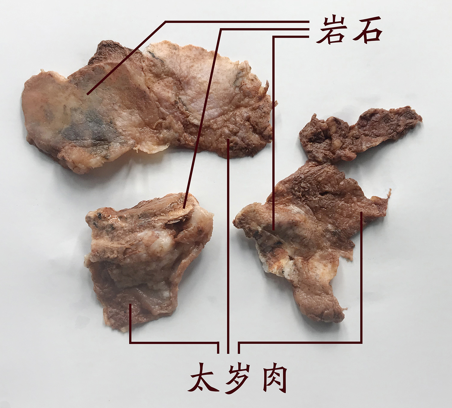 肉灵芝太岁的价格,肉灵芝石太岁的功效与作用