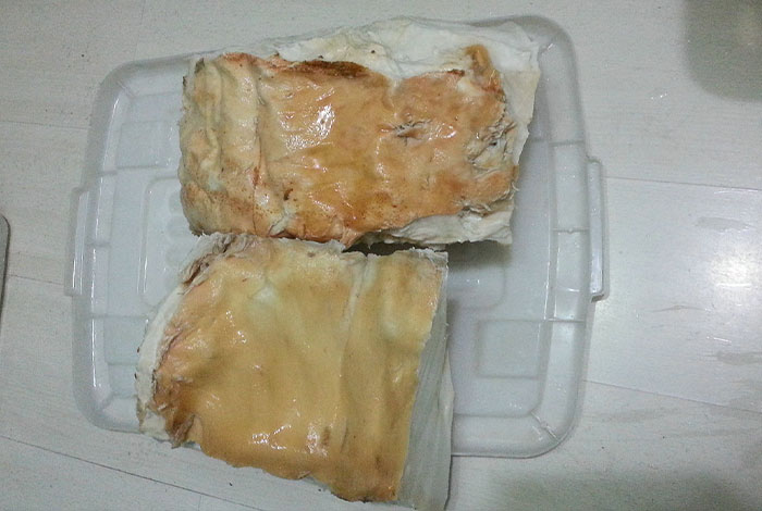 太岁肉灵芝的副作用,太岁肉灵芝功效