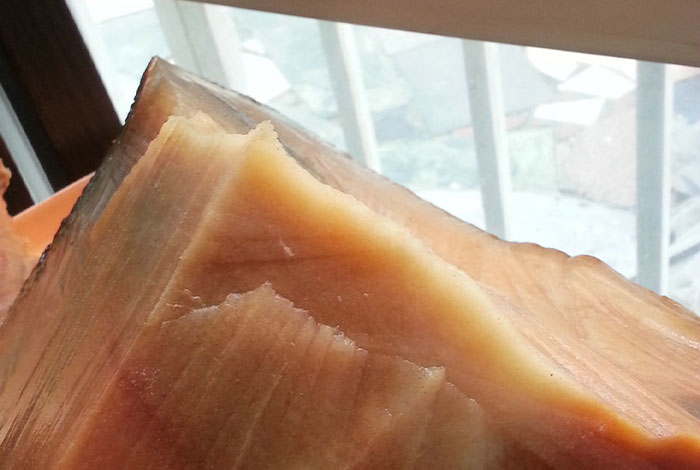 太岁肉灵芝的成分,太岁肉灵芝的功效与作用