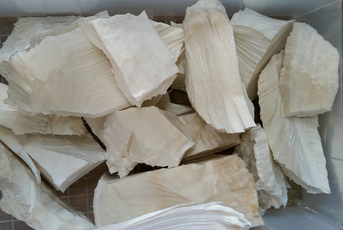 我有一个灵芝,我有一个灵芝怎么吃