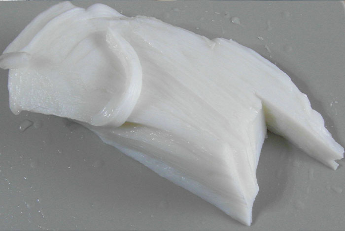 太岁肉灵芝会长吗,太岁肉灵芝的功效和作用