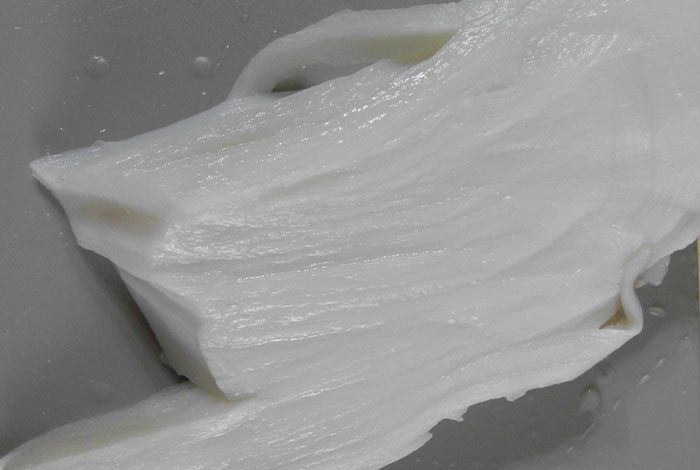 太岁肉灵芝的别名,太岁肉灵芝的功效与作用