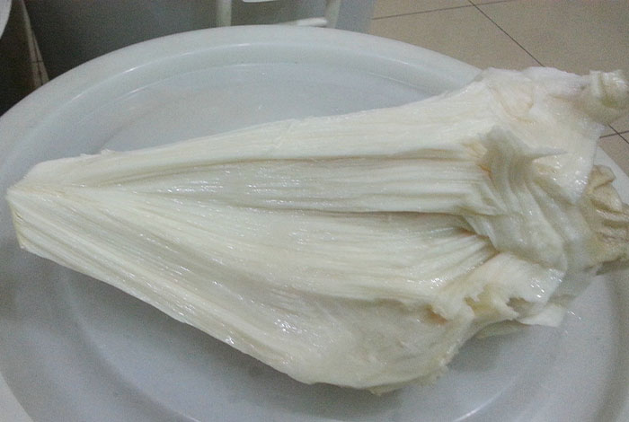 太岁肉灵芝的价格,太岁肉灵芝的价格是多少?