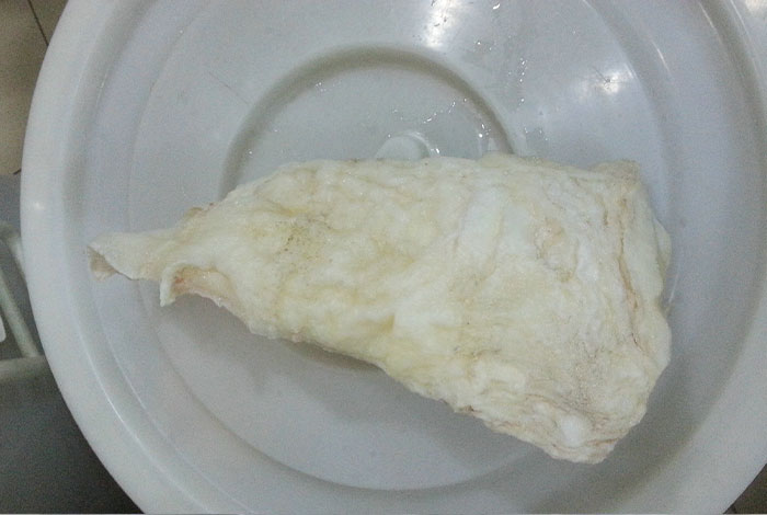 太岁肉灵芝的估价,太岁肉灵芝的功效与作用