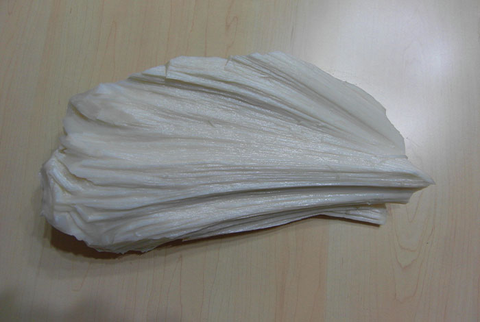 哪里能买到肉灵芝