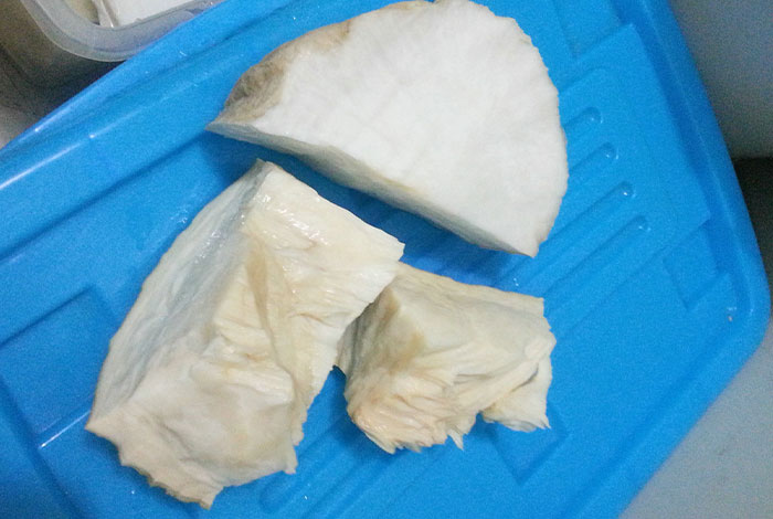 太岁肉灵芝吧,太岁肉灵芝的功效和作用