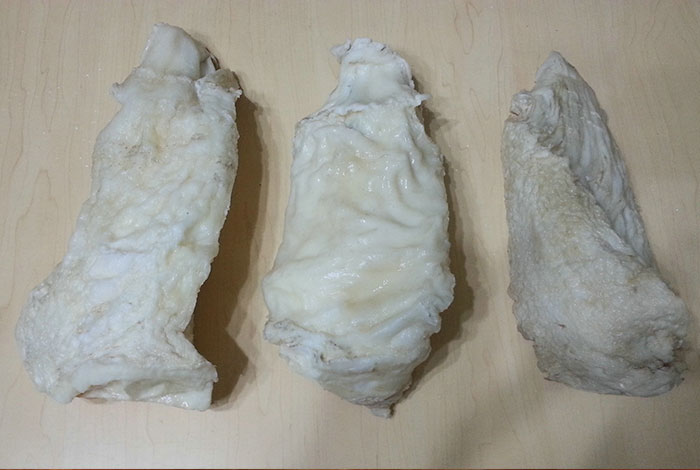 太岁肉灵芝怎么食用