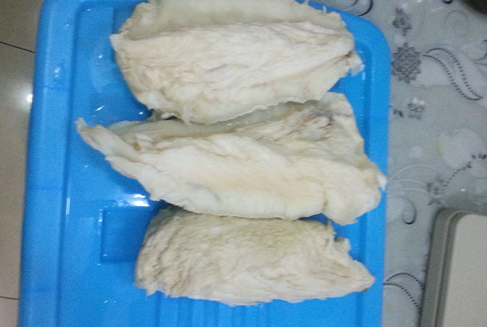 太岁肉灵芝的作用,太岁肉灵芝的作用与功效