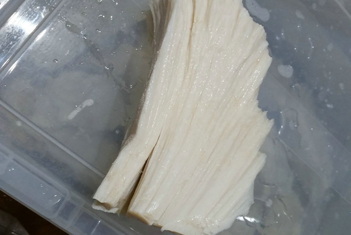 纯野生太岁肉灵芝