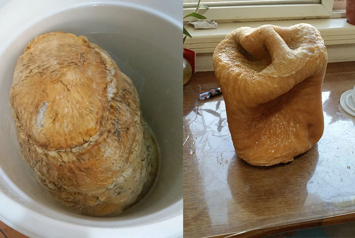 安徽大别山野生灵芝主要是哪种