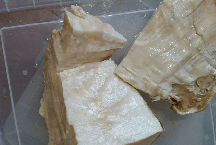 太岁肉灵芝,太岁肉灵芝的功效和作用