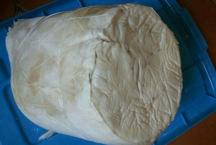 太岁灵芝有什么作用,太岁灵芝酒多少钱一瓶