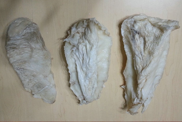 太岁肉灵芝贵吗,太岁肉灵芝的功效和作用