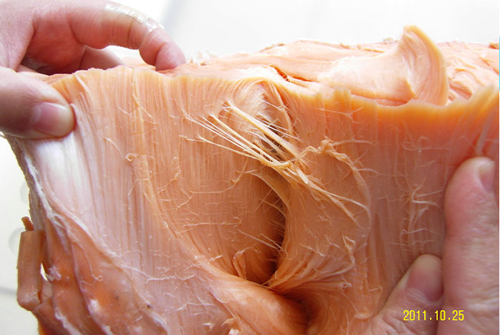 土太岁的功效,土太岁的功效和作用价格