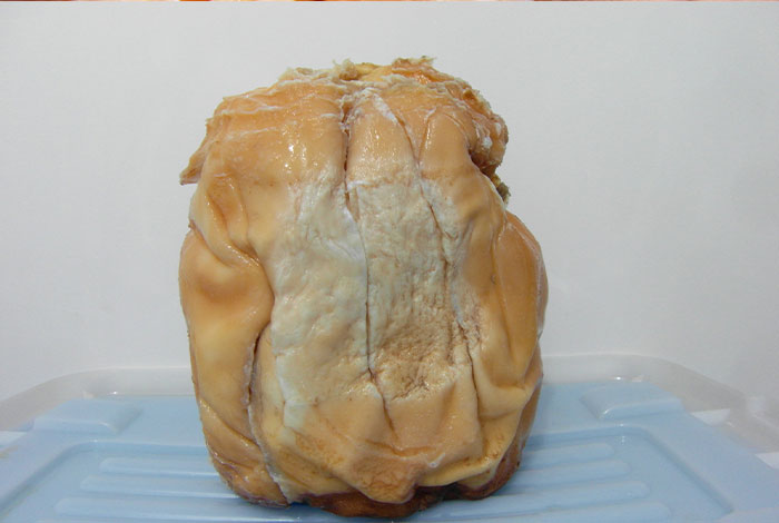 太岁肉林芝,太岁肉林芝有什么用