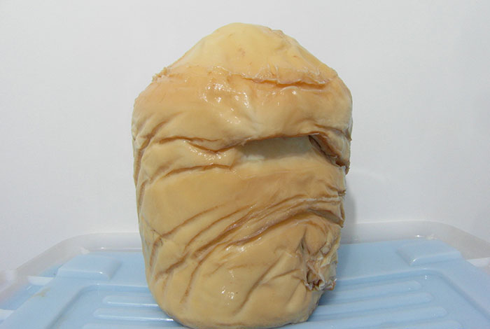 太岁肉灵芝泡水,太岁肉灵芝泡水喝有什么功效