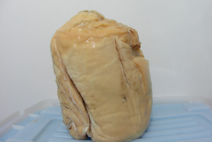 太岁俗称肉灵芝,太岁俗称肉灵芝全国哪个地方可以采购