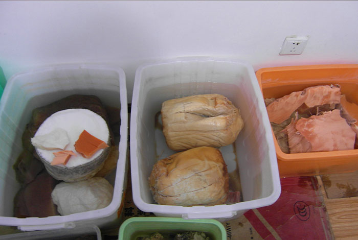 山里的灵芝,山里的灵芝多少钱一斤