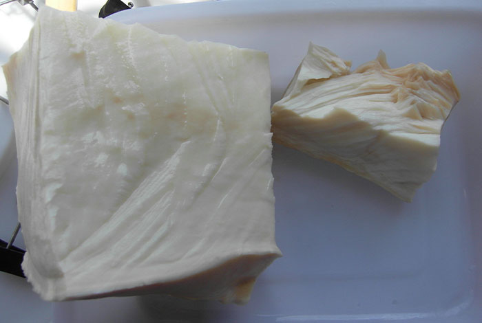 肉灵芝都喜欢长什么地方