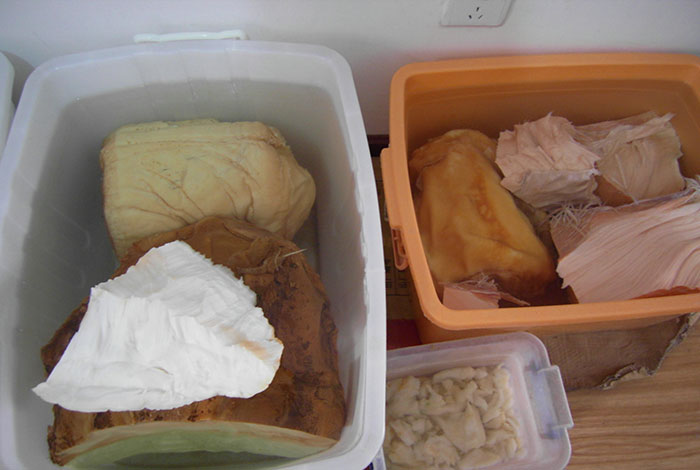 太岁肉灵芝的,太岁肉灵芝的功效与作用