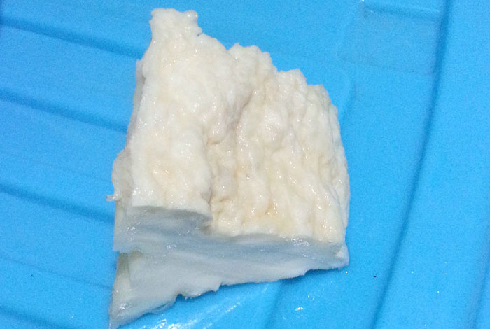 太岁肉灵芝有什么作用,太岁肉灵芝有什么作用与功效