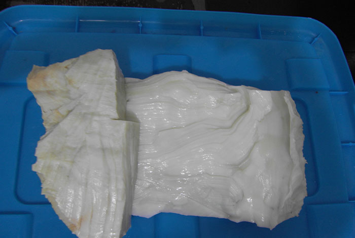 太岁肉灵芝图片,太岁肉灵芝图片大全