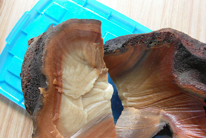 太岁的样子,太岁的样子图片