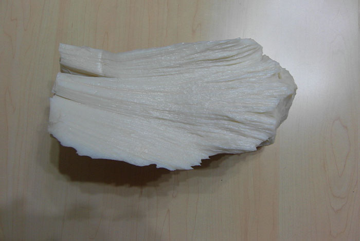 太岁肉灵芝的药用价值,太岁肉灵芝的功效和作用