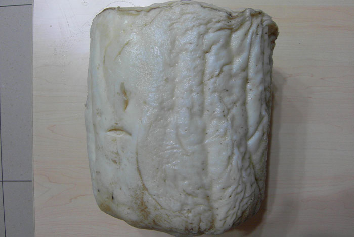 太岁肉灵芝斤价格,太岁肉灵芝市场价格