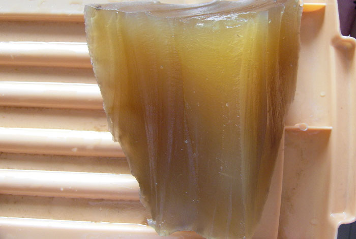 太岁肉灵芝的食用方法,太岁肉灵芝怎么食用