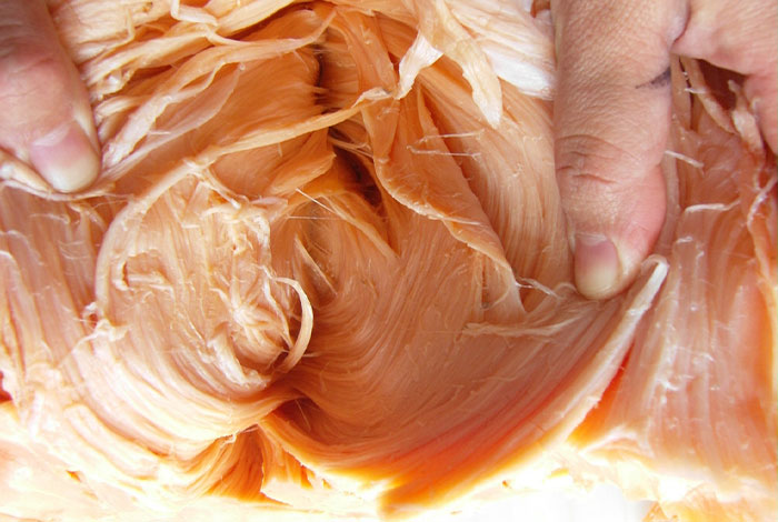 太岁肉灵芝值多少钱