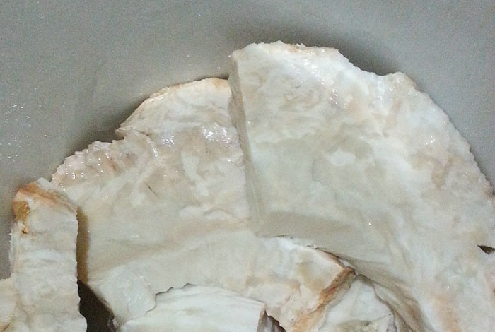 哪里收购太岁肉灵芝