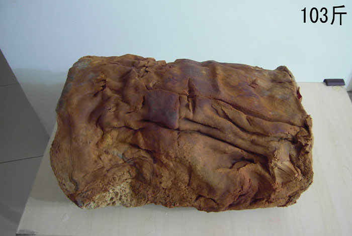 太岁灵芝肉与风水学,太岁灵芝酒多少钱一瓶