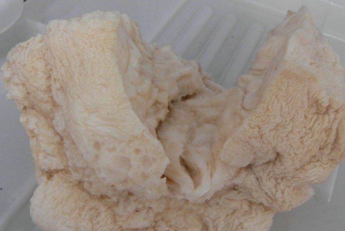 健芝缘灵芝,健芝缘灵芝可靠吗