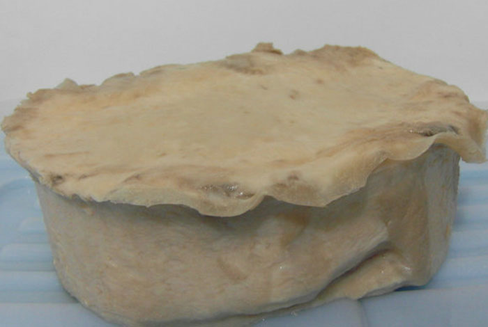 太岁肉灵芝市场价格,太岁肉灵芝市场价格是多少