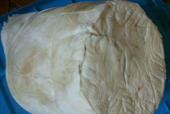 肉灵芝有副作用吗