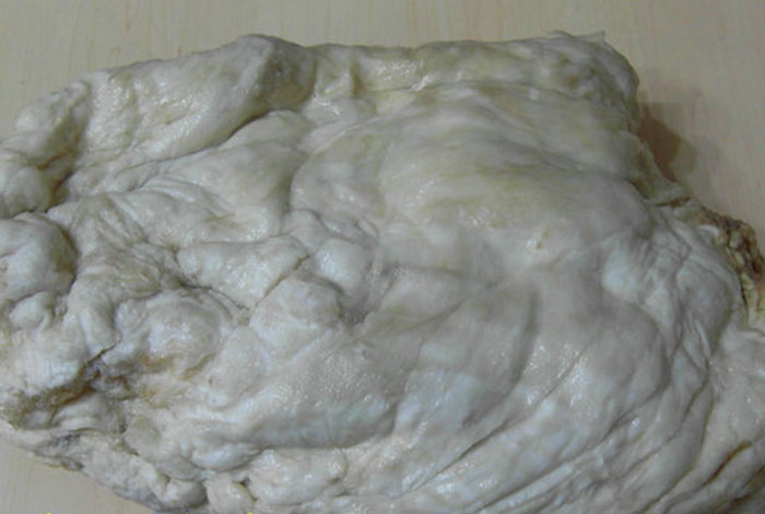 肉灵芝吃了有什么好处