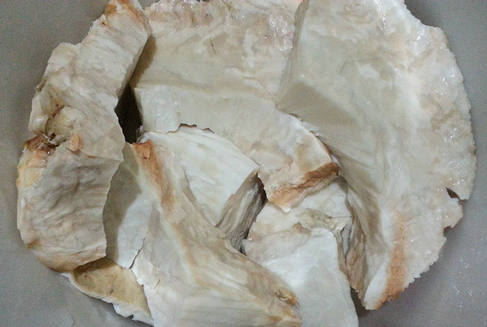 太岁肉灵芝主要什么作用,太岁肉灵芝的功效和作用