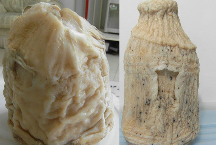 太岁有啥功效,太岁有什么功效与作用