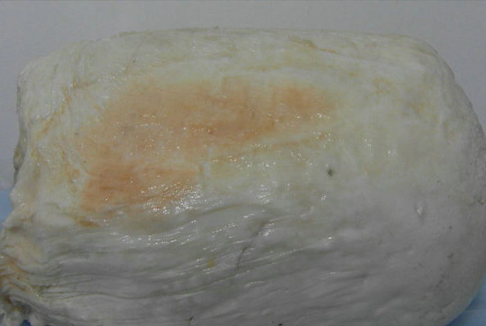 灵芝和灵芝孢子粉的功效,灵芝与灵芝孢子油哪个功效比较好