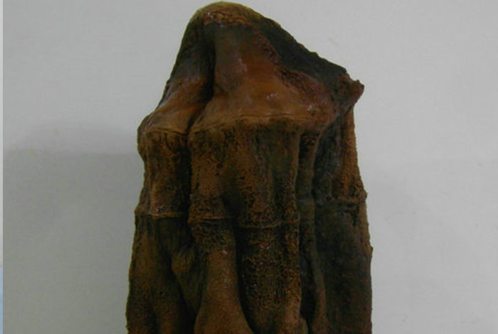 太岁肉灵芝功效,太岁肉灵芝功效有哪些