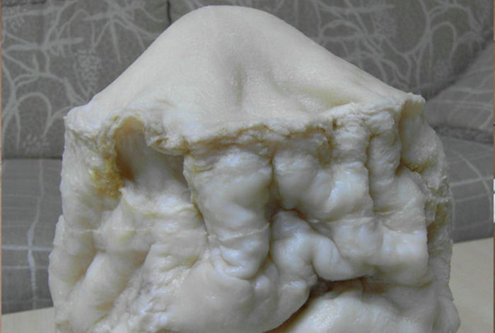 太岁肉灵芝怎么养殖,太岁肉灵芝的功效和作用