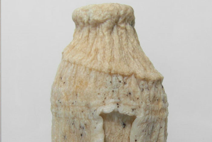 灵芝嫩的好还是老的好,灵芝嫩的好还是老的好呢