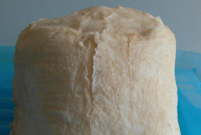 太岁到底有什么作用,太岁到底有什么作用和功效