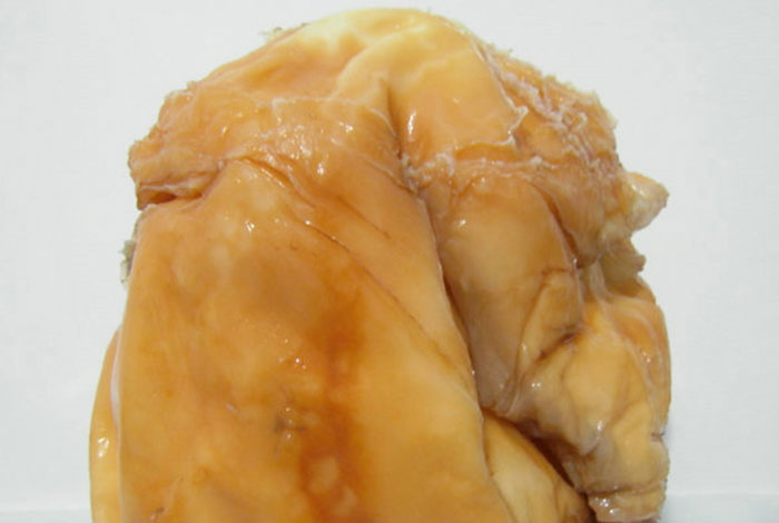 肉灵芝太岁的功效,肉灵芝太岁的功效与作用